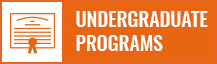 undergraduate programs